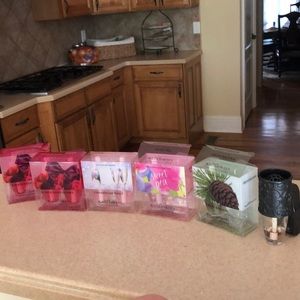 bath and body work wall flowers